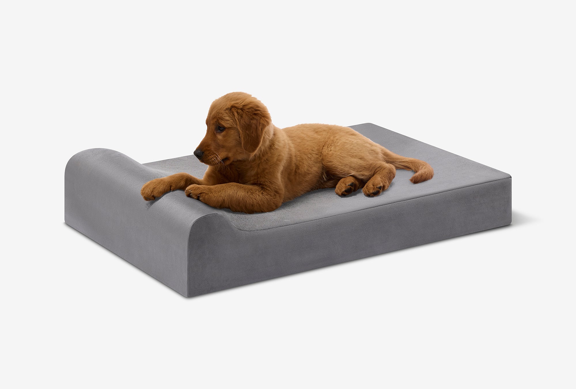 Big Barker orthopedic dog bed