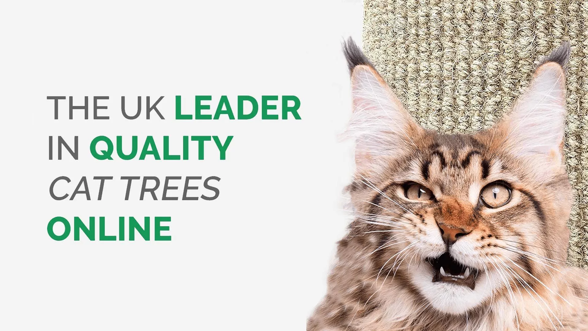 Cat Tree UK cat tree and scratching post