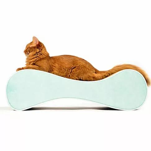 Cat Tree UK scratching post