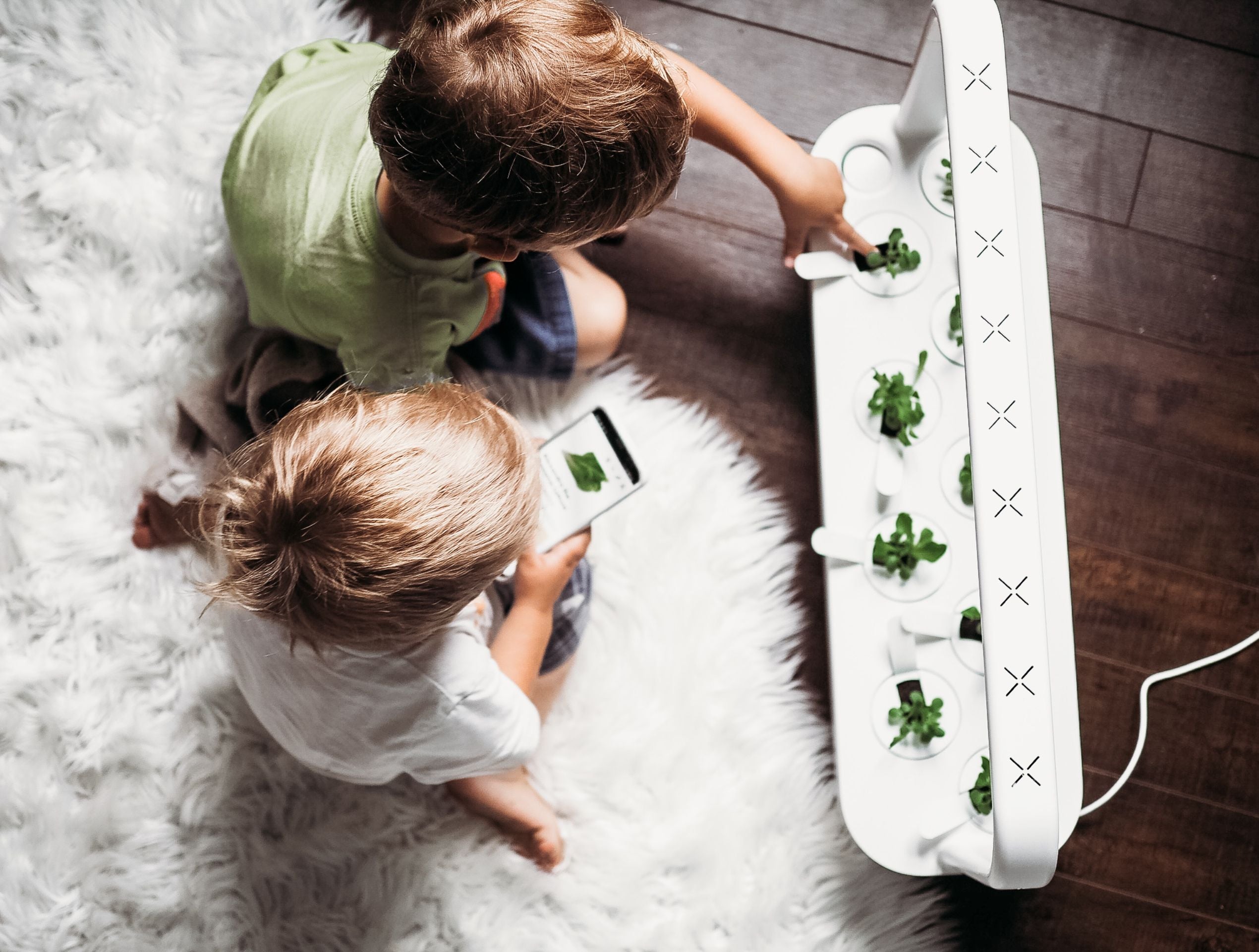 Click & Grow Smart Garden 9 growing herbs indoors