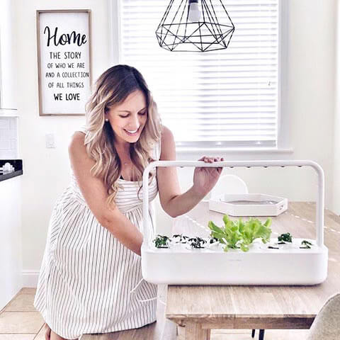 Click & Grow Smart Garden 9 growing herbs indoors