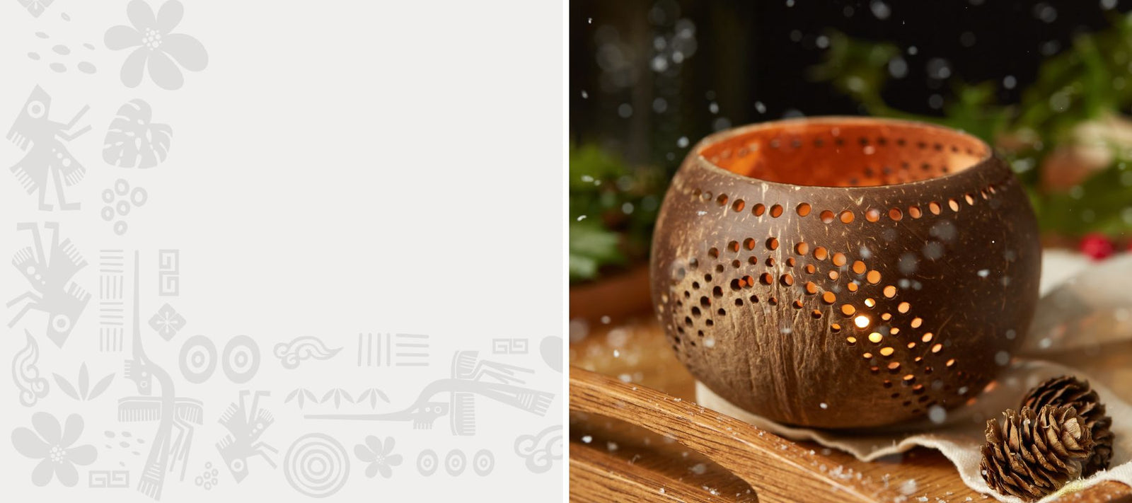 Jungle Culture eco-friendly product collection