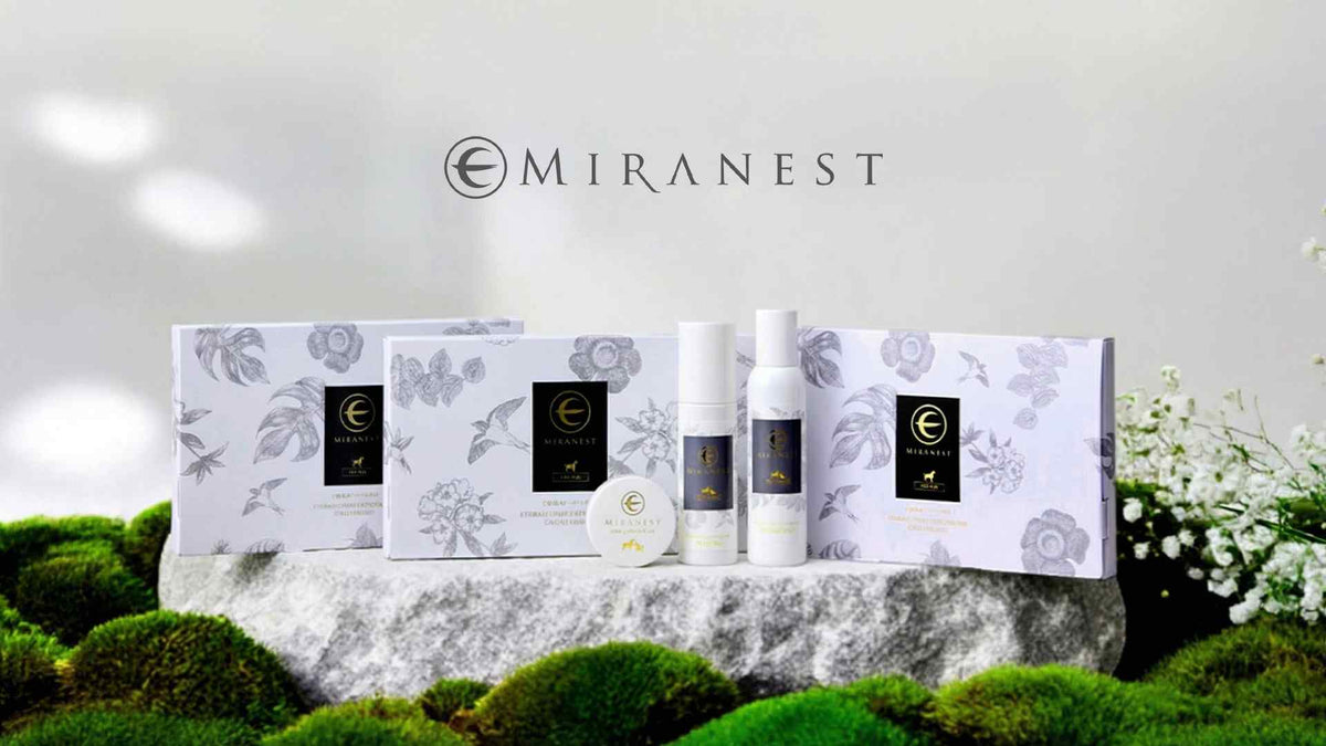MIRANEST jelly stick supplement product